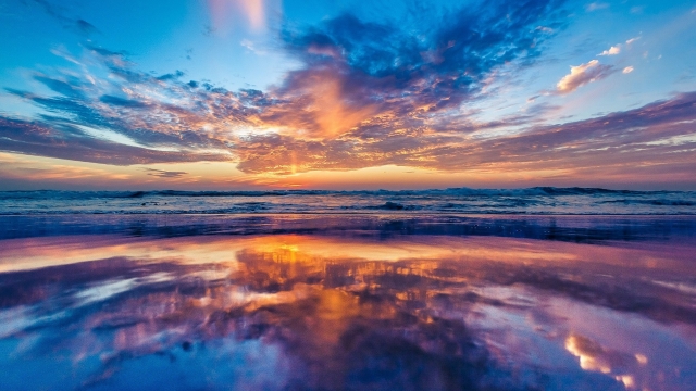 暑期教师“充电”专辑④｜张斌 虞永平——守正与创新：指向中国式学前教育现代化的幼儿园课程改革